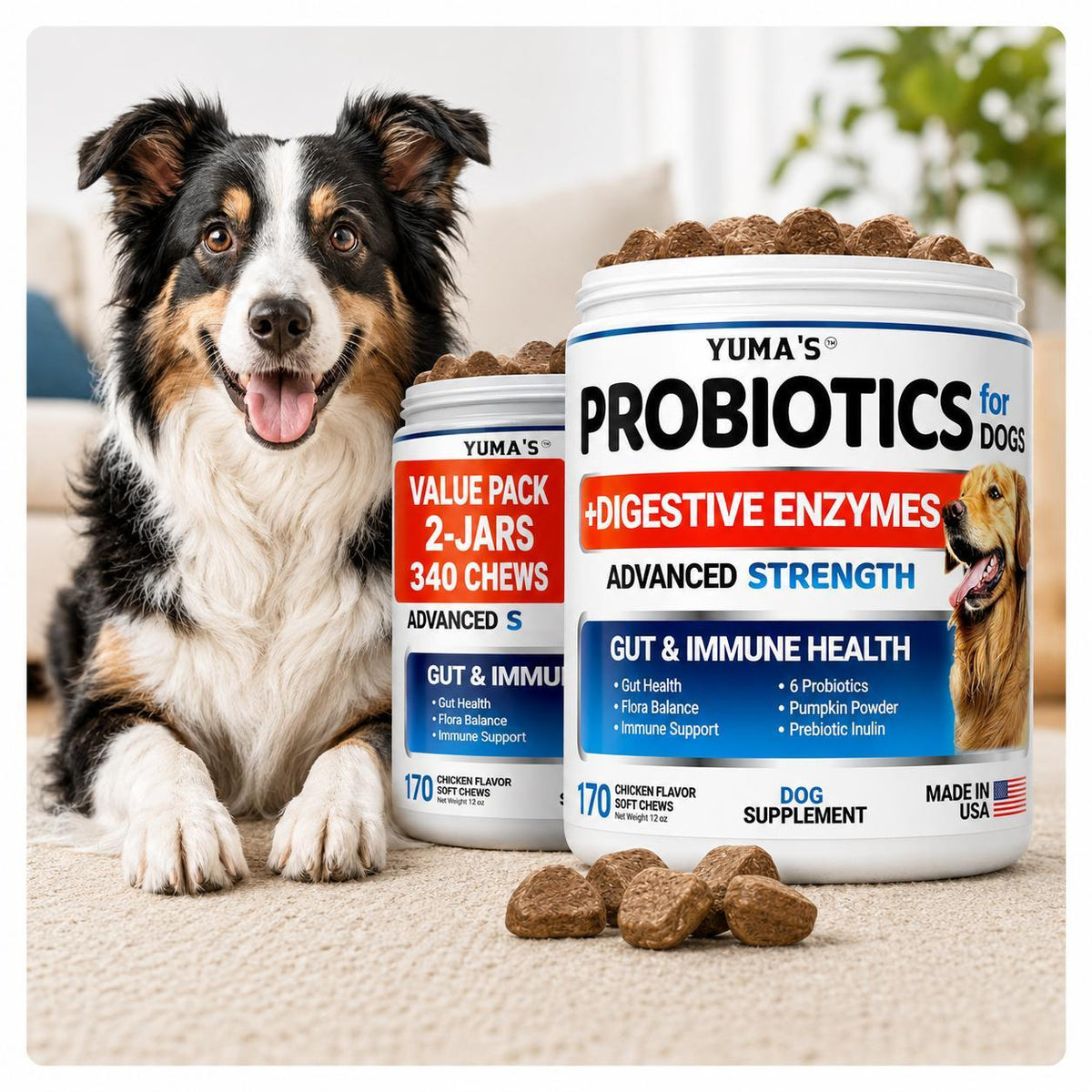 Dog Probiotic Chews with Digestive Enzymes