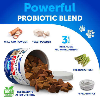 Dog Probiotics for Gut Health & Immunity