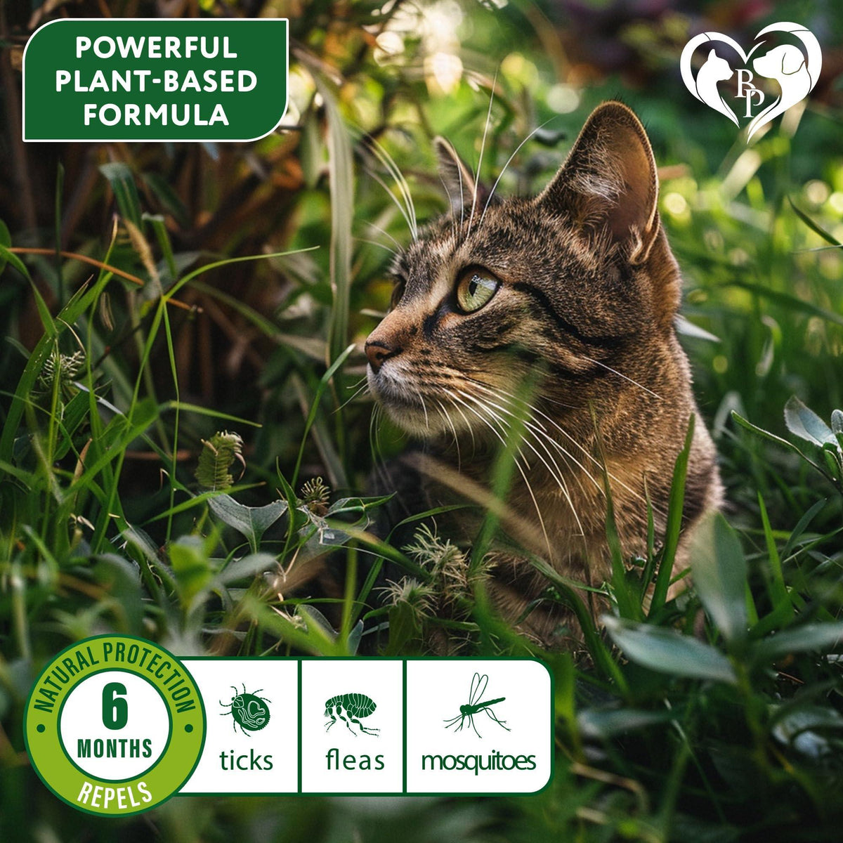Natural Cat Flea Tick Collar 6-Month Protection