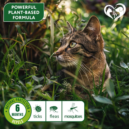 Natural Cat Flea Tick Collar 6-Month Protection