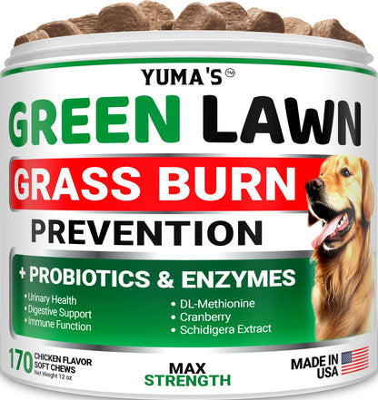 Green Lawn Chews for Dogs Gut Health