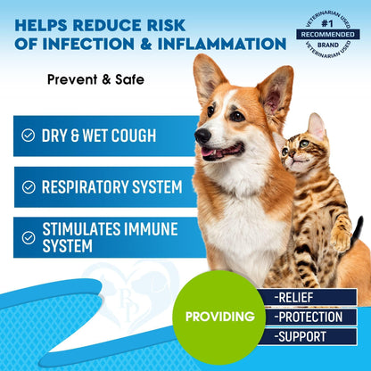 Kennel Cough Treatment for Dogs & Cats