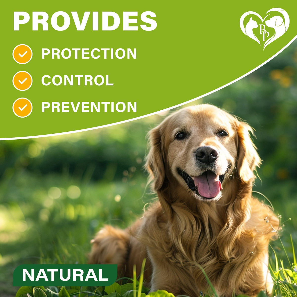 Natural Flea & Tick Collar for Dogs