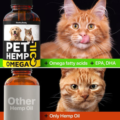 Charlie&Buddy Hemp Salmon Oil for Dogs