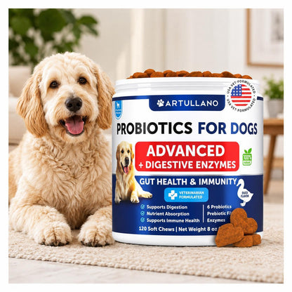 Dog Probiotics for Gut Health & Immunity