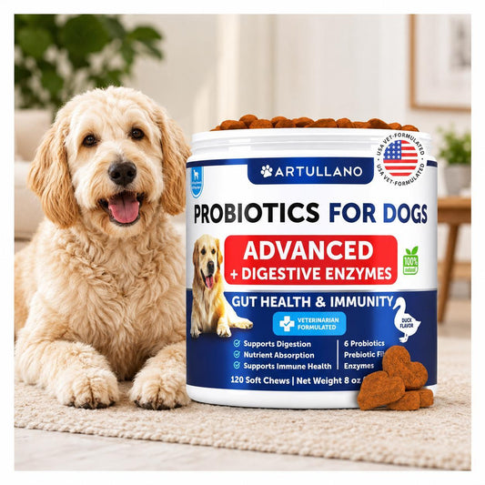 Dog Probiotics for Gut Health & Immunity