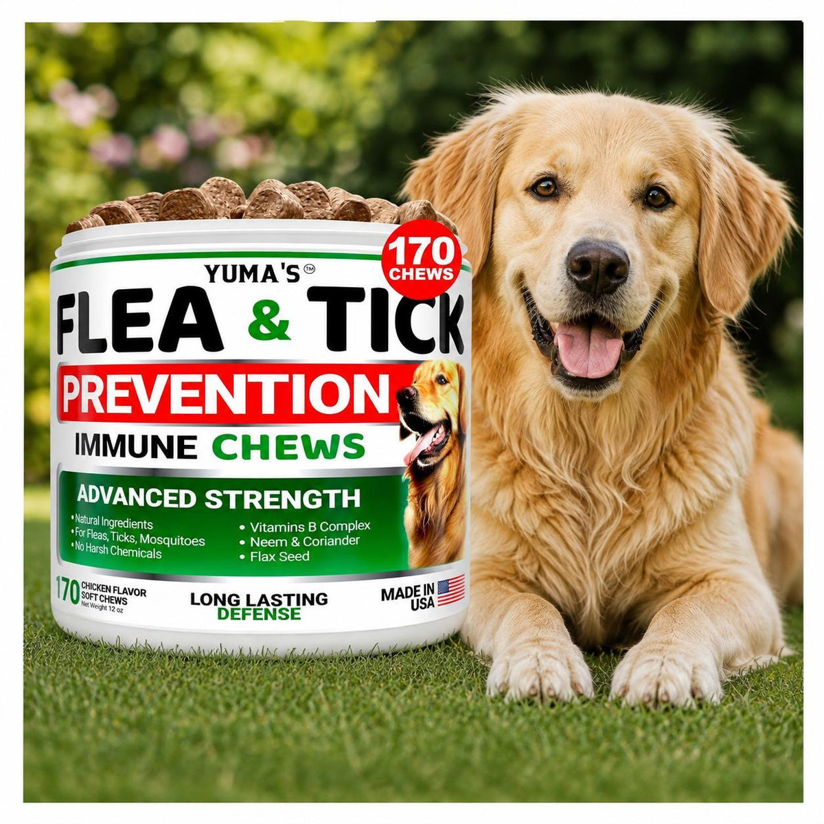 Natural Flea & Tick Chews for Dogs – 170 Treats