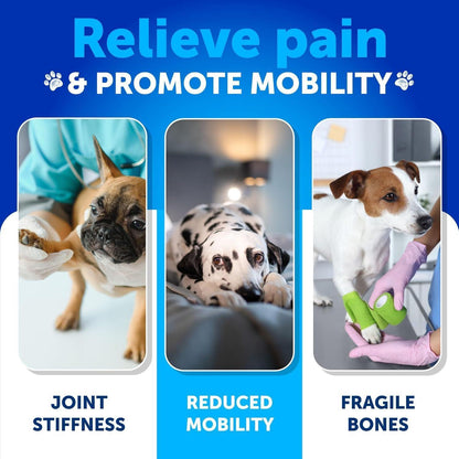 Hemp Glucosamine Joint Support Chews for Dogs