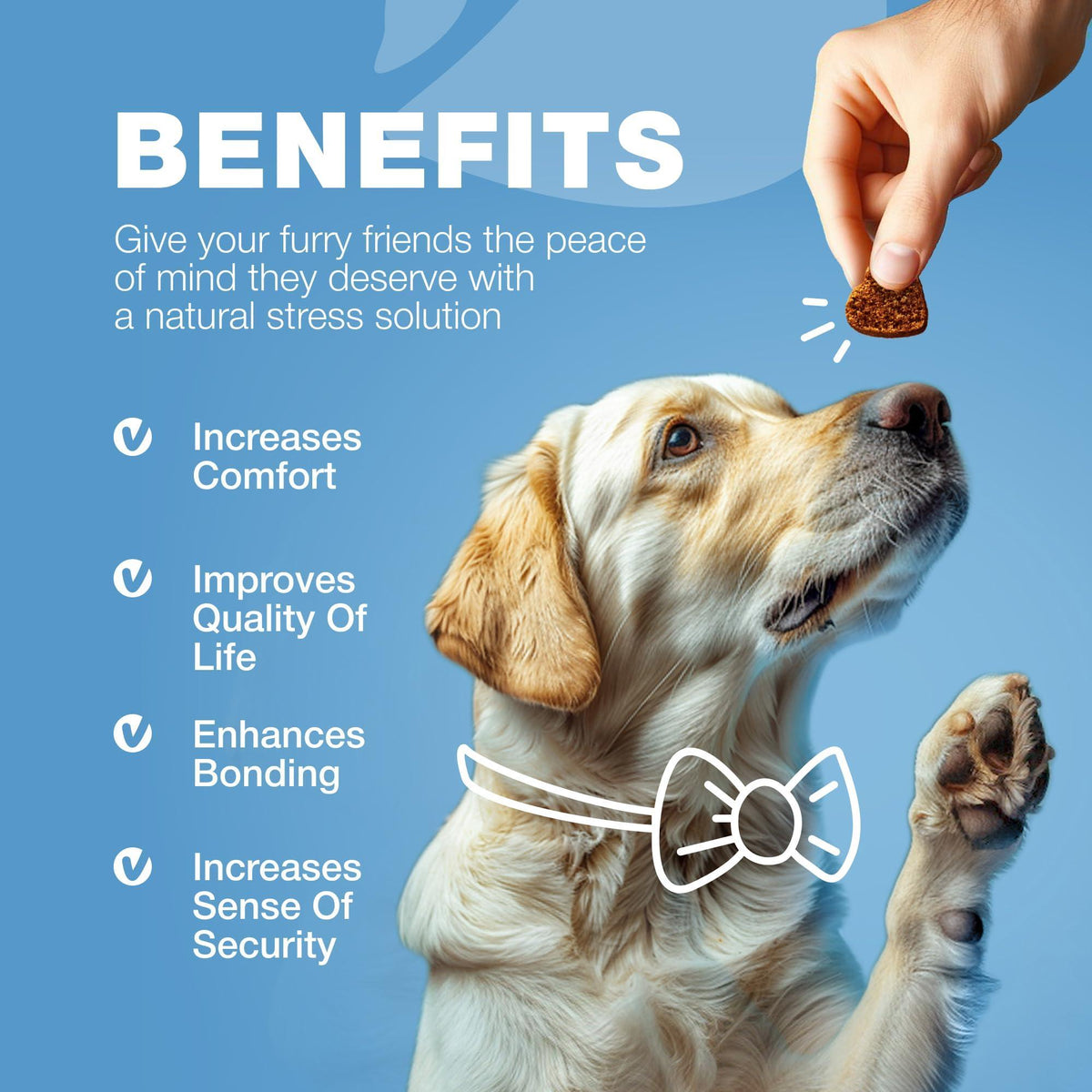 Hemp Calming Chews for Dogs – Anxiety Relief
