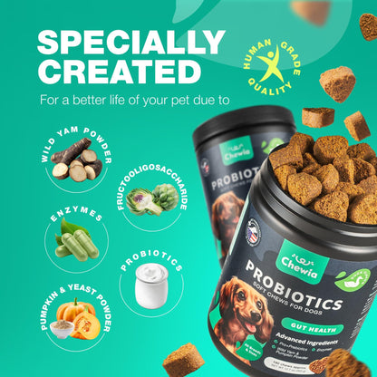 Dog Probiotic Chews for Gut Health & Digestion