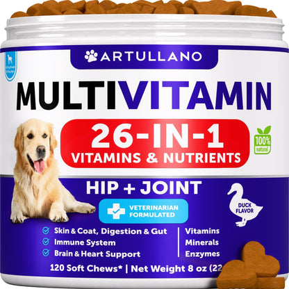 (2 Pack) Multivitamin Chewable with Glucosamine Treats for Dogs