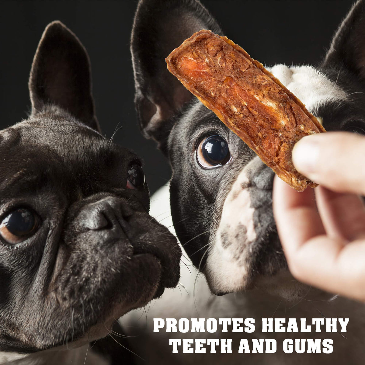 Chicken Jerky Dog Treats – Natural High Protein