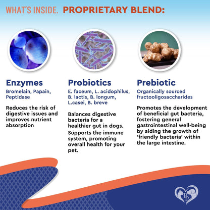 Probiotics & Prebiotics for Dogs & Cats