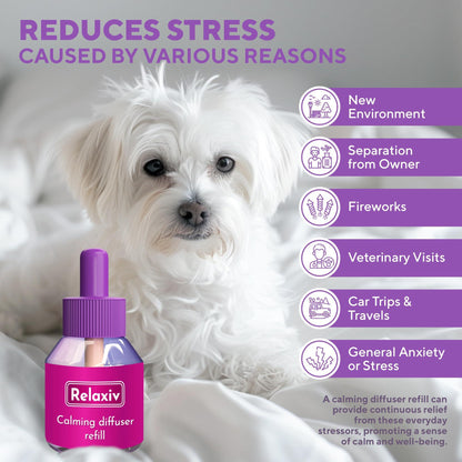 Beloved Pets Dog Calming Pheromone Diffuser Refill 2 Pack