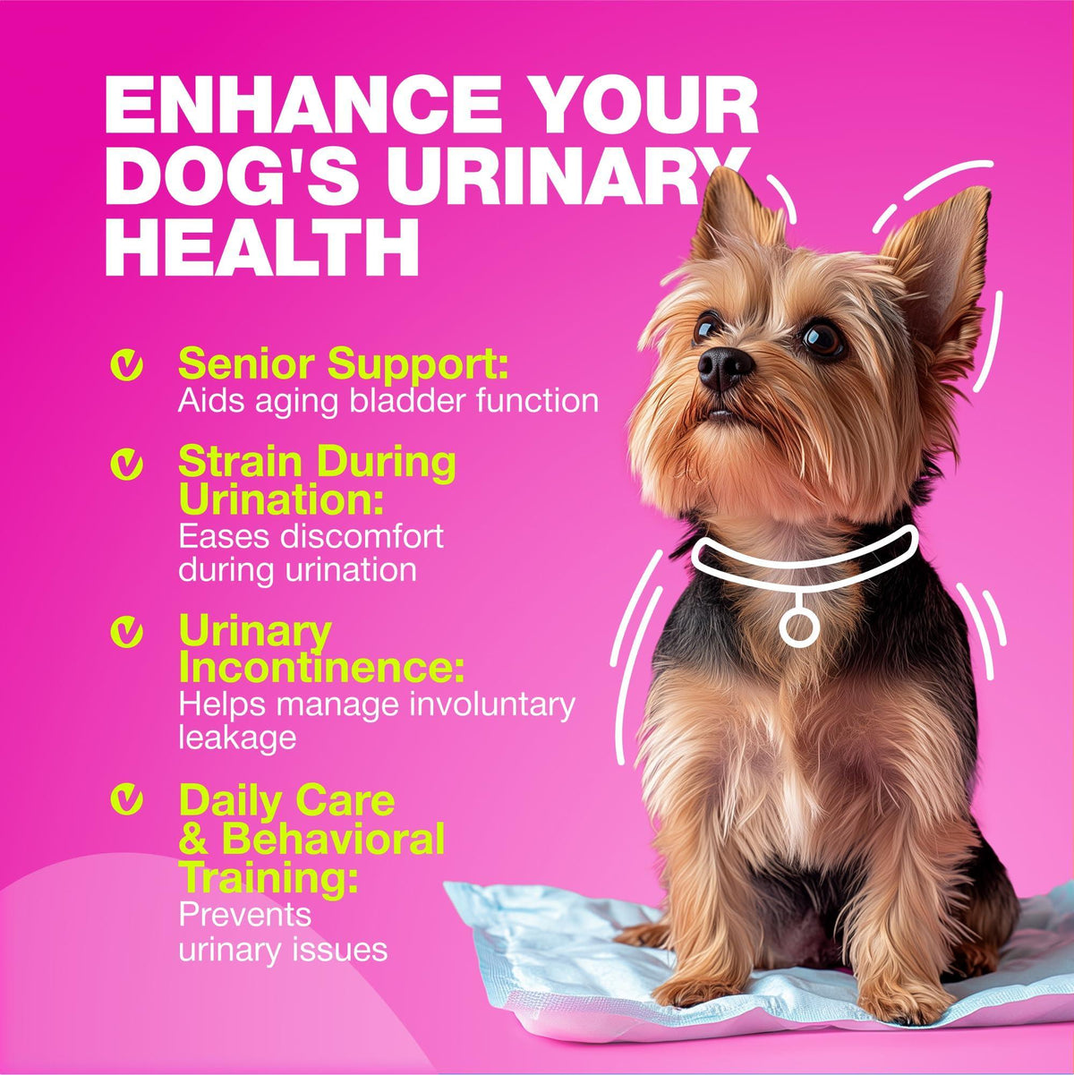 Dog UTI Cranberry Chews for Bladder Support