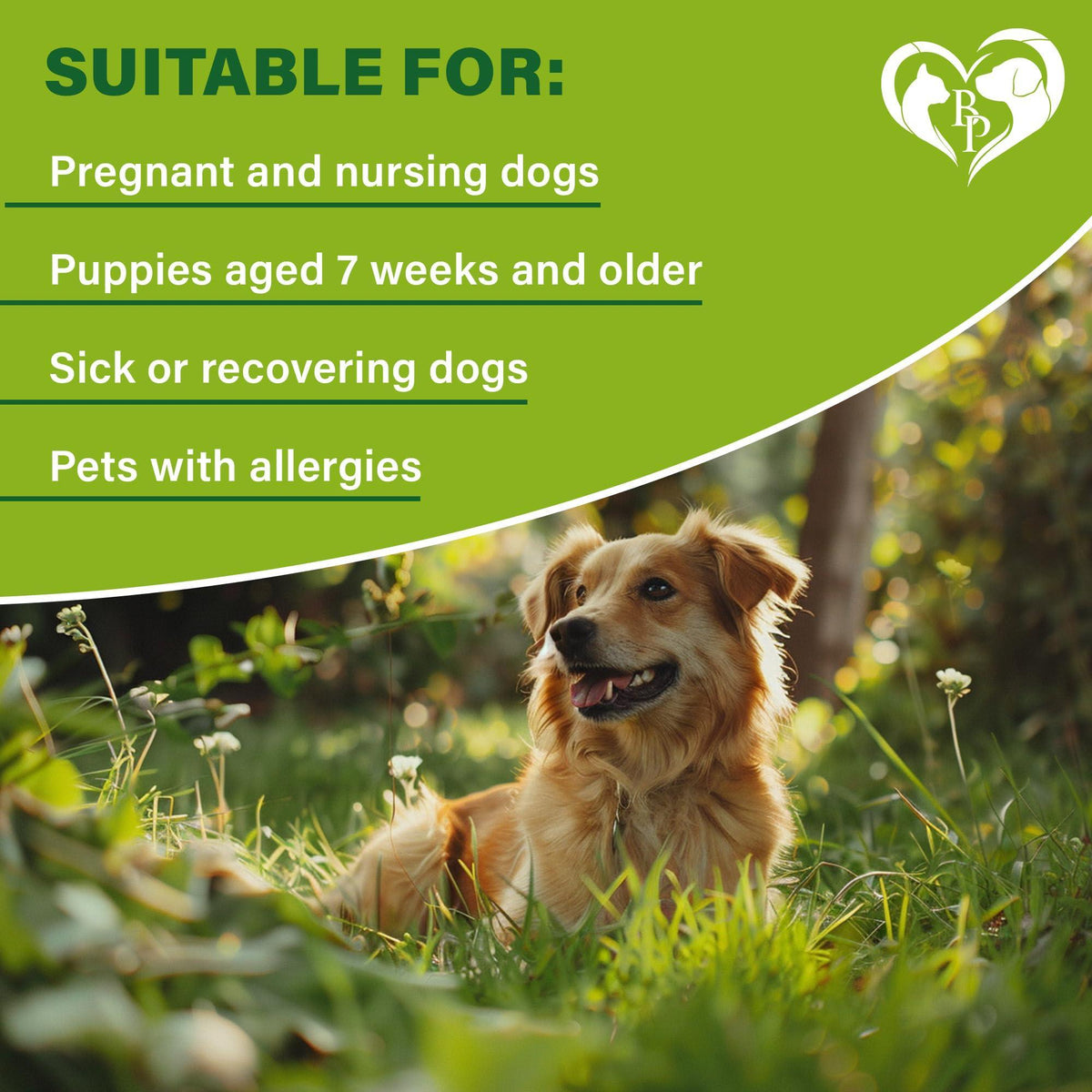 Natural Flea & Tick Collar for Dogs | 6-Month Protection