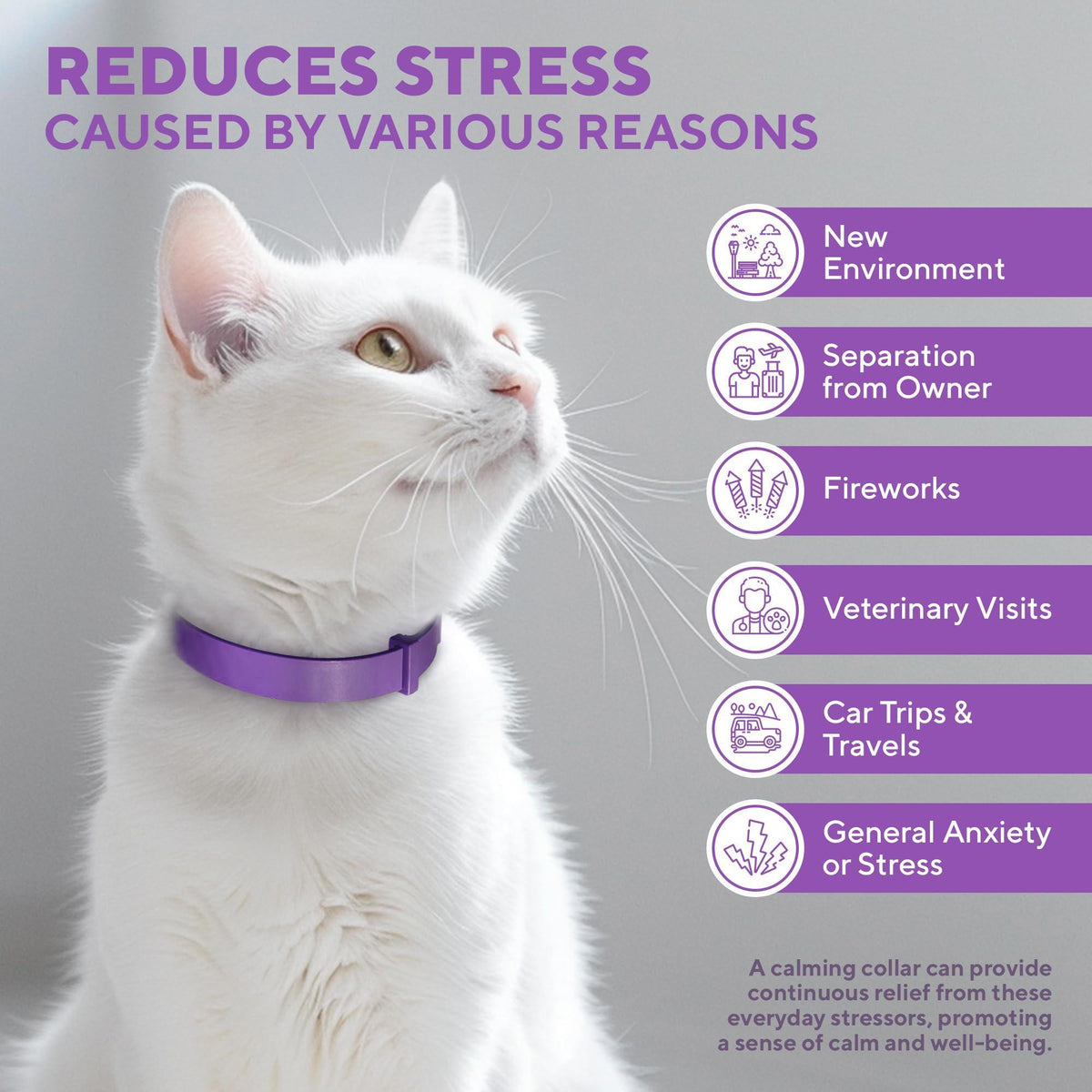 Cat Calming Collar for Anxiety & Stress Relief