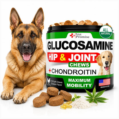 Glucosamine Chondroitin Hip Joint Chews for Dogs