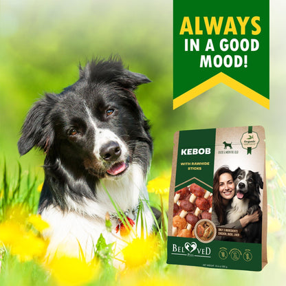 Kabobs Duck & Chicken Rawhide Dog Treats