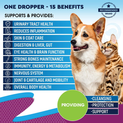 Cat & Dog Multivitamin Liquid with Glucosamine