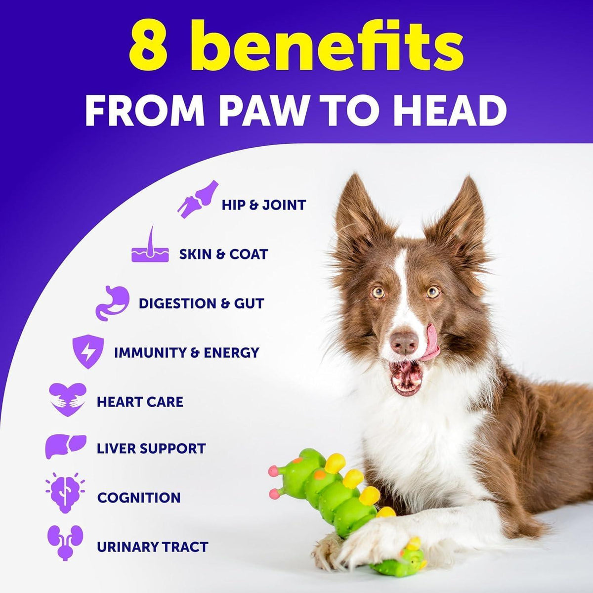 (2 Pack) Multivitamin Chewable with Glucosamine Treats for Dogs