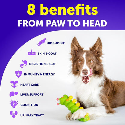 (2 Pack) Multivitamin Chewable with Glucosamine Treats for Dogs