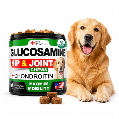 Glucosamine Joint Supplements for Dogs