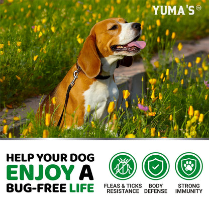 Natural Flea & Tick Chews for Dogs – 170 Treats