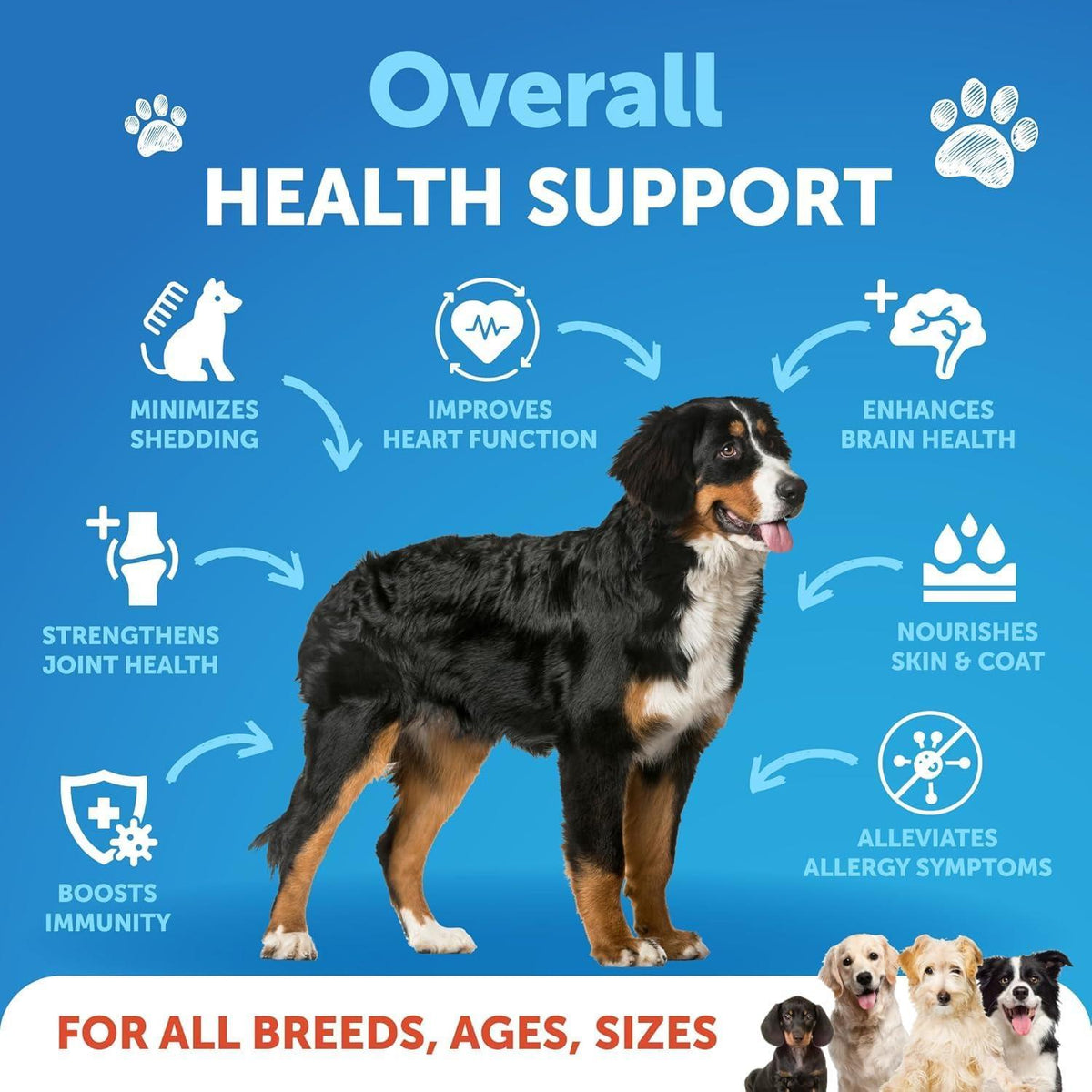 Omega 3 Dog Fish Oil Skin Support