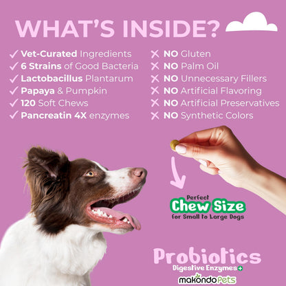 Dog Probiotics Chews with Pumpkin & Enzymes