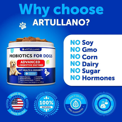 Dog Probiotics for Gut Health & Immunity