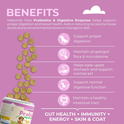Dog Probiotics Chews with Pumpkin & Enzymes