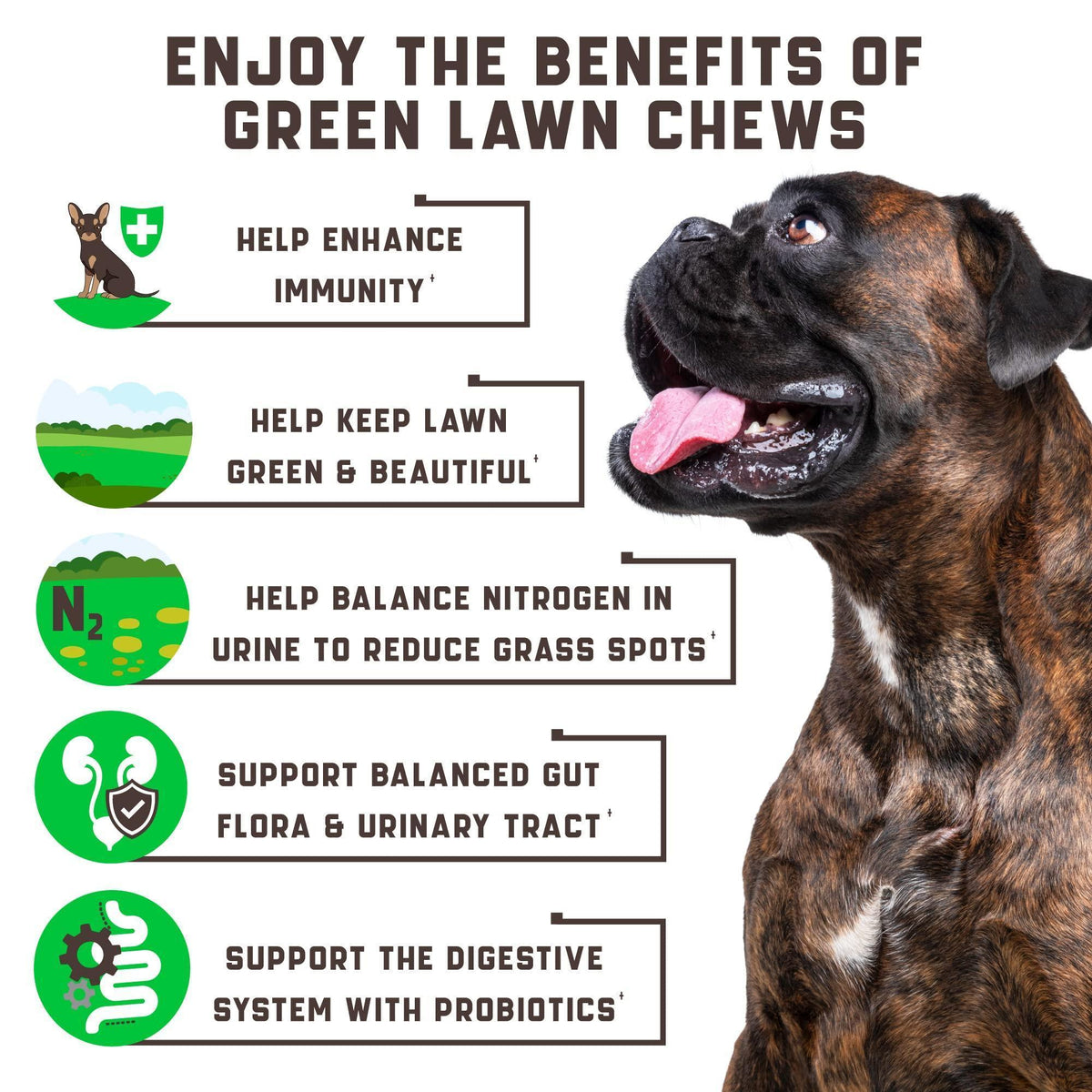 Green Lawn Chews for Dogs Urine Neutralizer