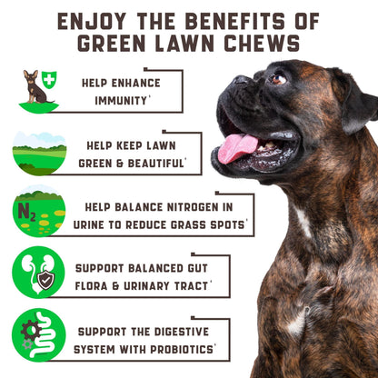 Green Lawn Chews for Dogs Urine Neutralizer