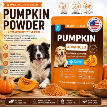 Pumpkin Powder for Dogs Digestive Support