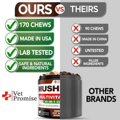 Turkey Tail Mushroom Supplement Chews for Dogs