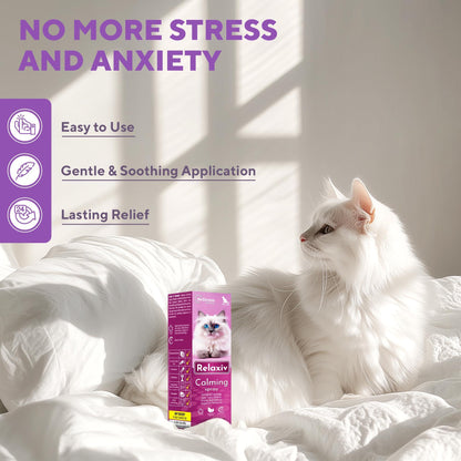 Calming Pheromone Spray for Cats – Scratch & Stress Relief
