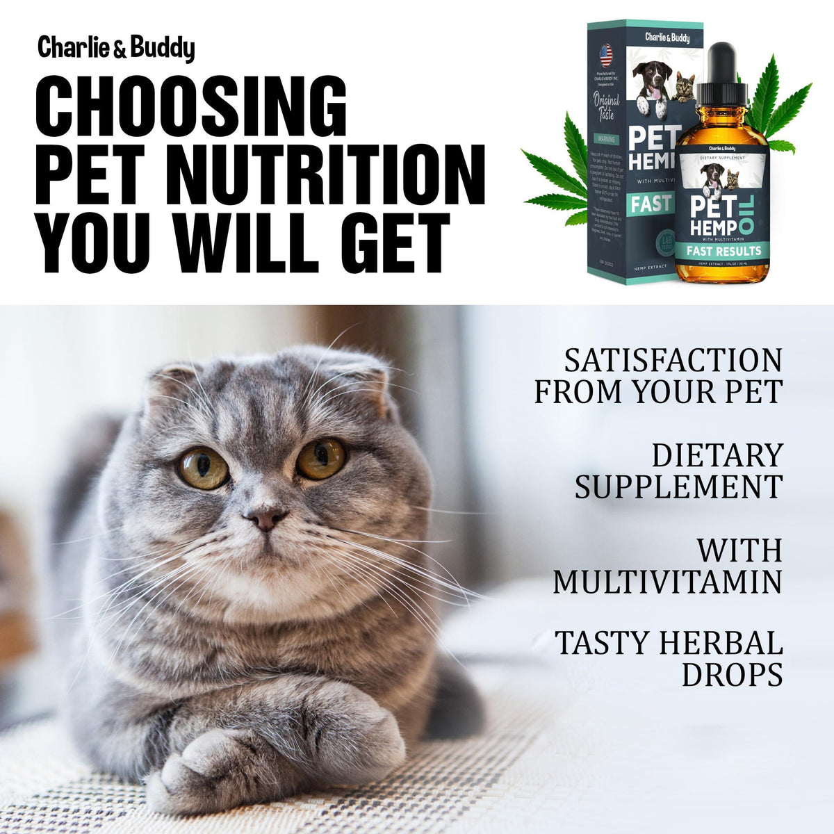 Hemp Oil for Dogs & Cats – Calming Support