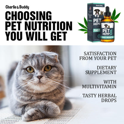 Hemp Oil for Dogs & Cats – Calming Support