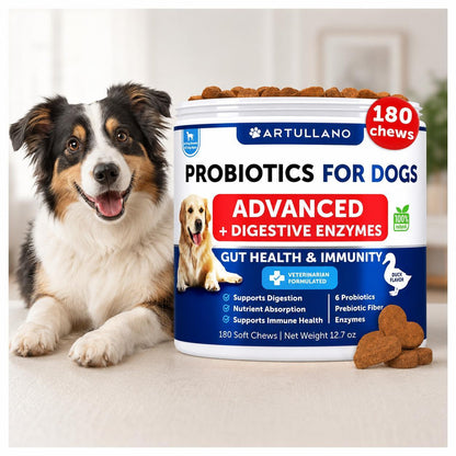 Dog Probiotics for Gut Health, Itchy Skin & Immunity