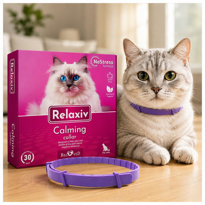Cat Calming Collar for Anxiety & Stress Relief