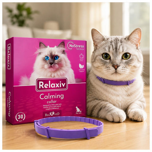 Cat Calming Collar for Anxiety & Stress Relief