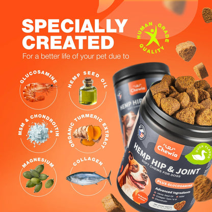 Glucosamine Chondroitin Joint Chews for Dogs