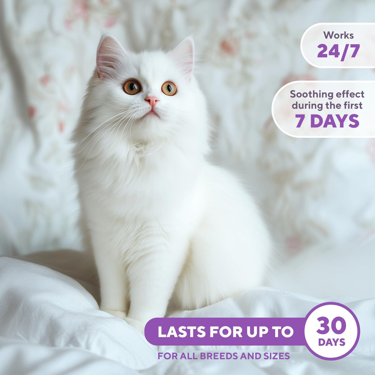 Calming Pheromone Spray for Cats – Scratch & Stress Relief