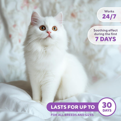 Calming Pheromone Spray for Cats – Scratch & Stress Relief