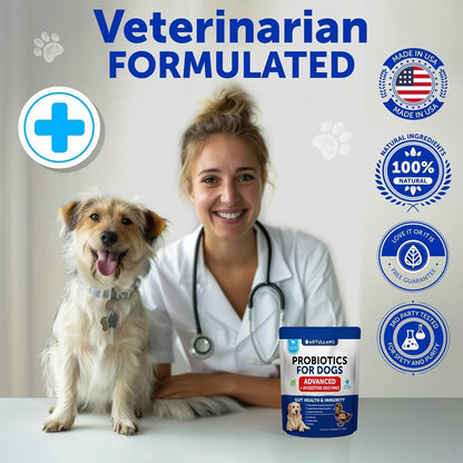 Dog Probiotic Chews for Gut Health