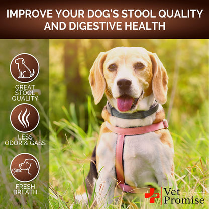Dog Probiotics for Healthy Gut & Firm Stool