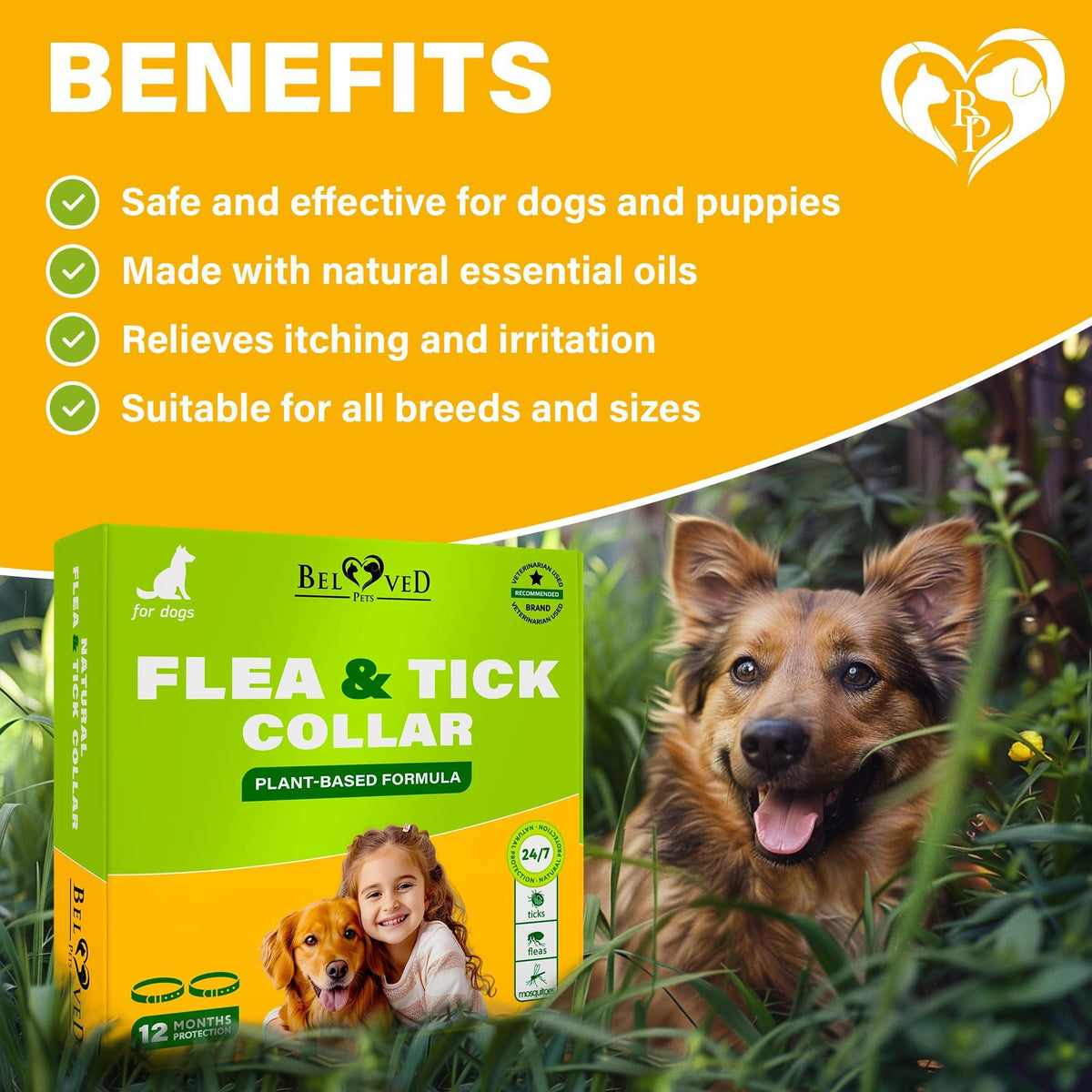 Natural Flea & Tick Collar for Dogs | 6-Month Protection
