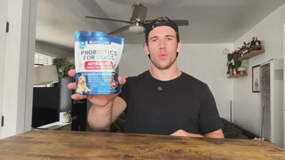 Dog Probiotic Chews for Gut Health
